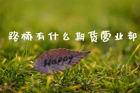 路桥有什么期货营业部_https://www.qdlswl.com_基金_第1张