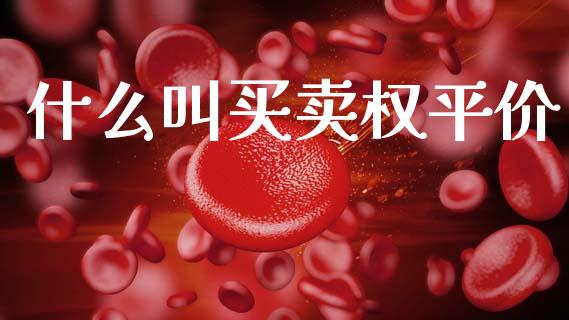 什么叫买卖权平价_https://www.qdlswl.com_股票_第1张