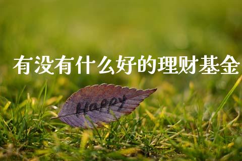 有没有什么好的理财基金_https://www.qdlswl.com_基金_第1张