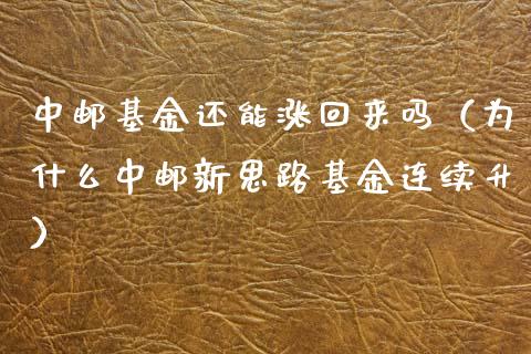 中邮基金还能涨回来吗（为什么中邮新思路基金连续升）_https://www.qdlswl.com_基金_第1张