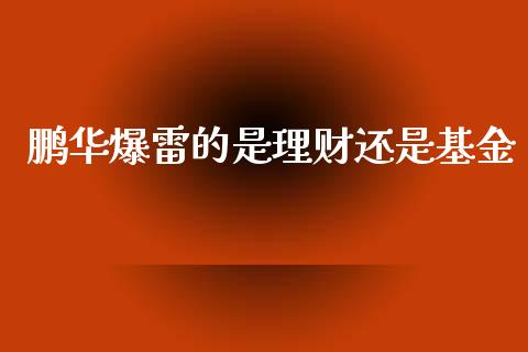 鹏华爆雷的是理财还是基金_https://www.qdlswl.com_理财_第1张