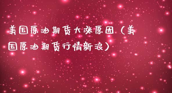 美国原油期货大涨原因（美国原油期货行情新浪）_https://www.qdlswl.com_期货_第1张