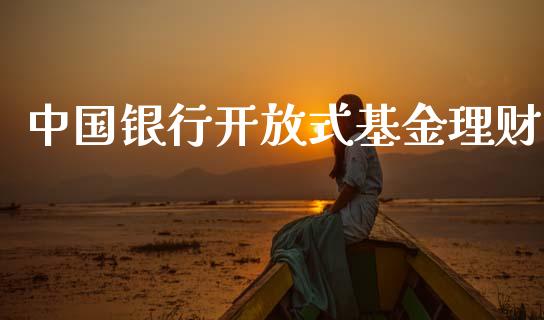 中国银行开放式基金理财_https://www.qdlswl.com_基金_第1张