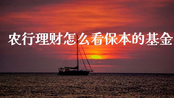 农行理财怎么看保本的基金_https://www.qdlswl.com_基金_第1张