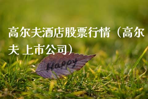 高尔夫酒店股票行情（高尔夫 上市公司）_https://www.qdlswl.com_外盘_第1张