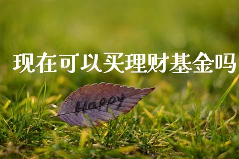 现在可以买理财基金吗_https://www.qdlswl.com_理财_第1张