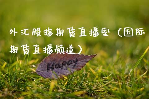 外汇股指期货直播室（国际期货直播频道）_https://www.qdlswl.com_直播_第1张