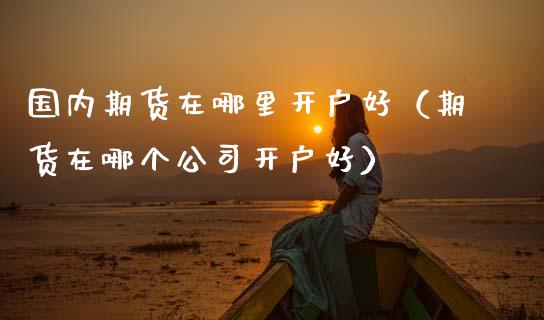 国内期货在哪里开户好（期货在哪个公司开户好）_https://www.qdlswl.com_基金_第1张