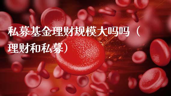 私募基金理财规模大吗吗（理财和私募）_https://www.qdlswl.com_理财_第1张