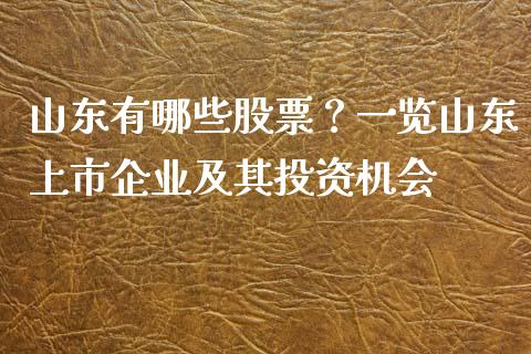 山东有哪些股票？一览山东上市企业及其投资机会_https://www.qdlswl.com_内盘_第1张