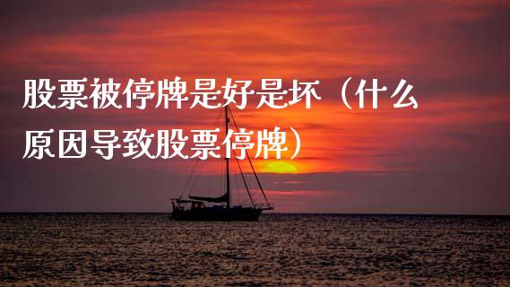 股票被停牌是好是坏（什么原因导致股票停牌）_https://www.qdlswl.com_内盘_第1张