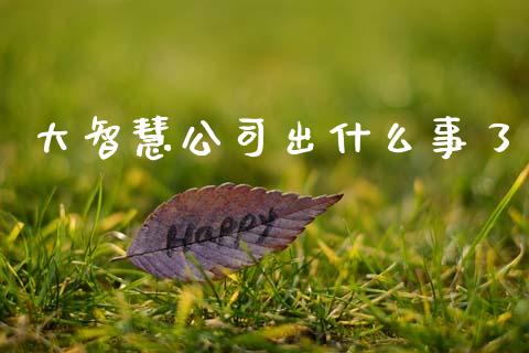 大智慧公司出什么事了_https://www.qdlswl.com_股票_第1张