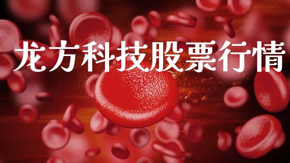 龙方科技股票行情_https://www.qdlswl.com_外盘_第1张