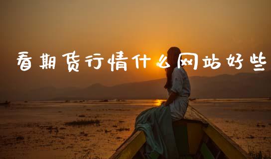 看期货行情什么网站好些_https://www.qdlswl.com_股指_第1张