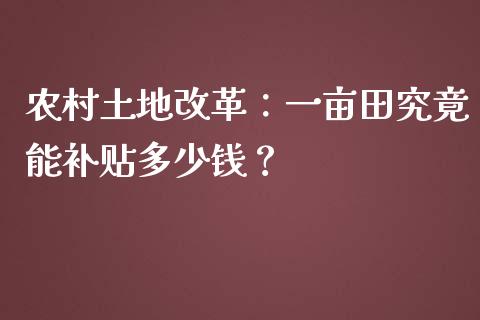 农村土地改革：一亩田究竟能补贴多少钱？_https://www.qdlswl.com_股票_第1张