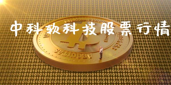 中科软科技股票行情_https://www.qdlswl.com_股票_第1张