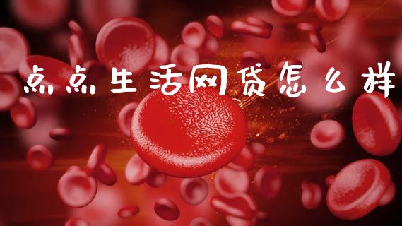 点点生活网贷怎么样_https://www.qdlswl.com_理财_第1张