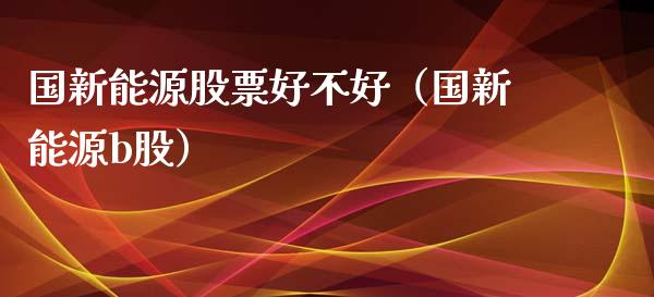 国新能源股票好不好（国新能源b股）_https://www.qdlswl.com_外盘_第1张