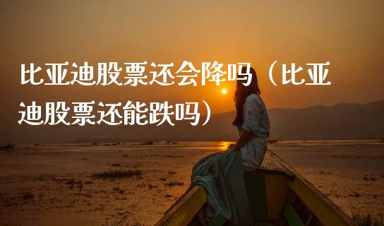 比亚迪股票还会降吗（比亚迪股票还能跌吗）_https://www.qdlswl.com_股票_第1张