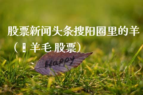 股票新闻头条搜阳圈里的羊（薅羊毛 股票）_https://www.qdlswl.com_外盘_第1张