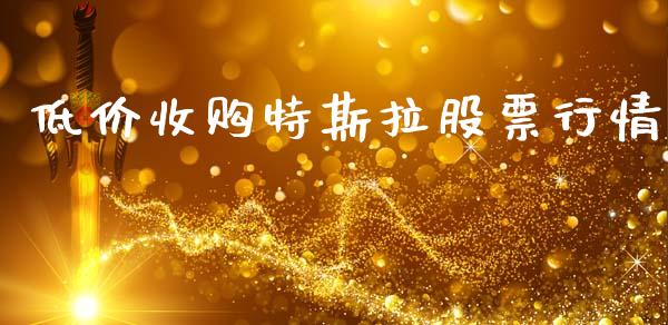 低价收购特斯拉股票行情_https://www.qdlswl.com_外盘_第1张