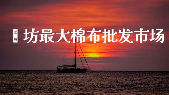 潍坊最大棉布批发市场_https://www.qdlswl.com_期货_第1张