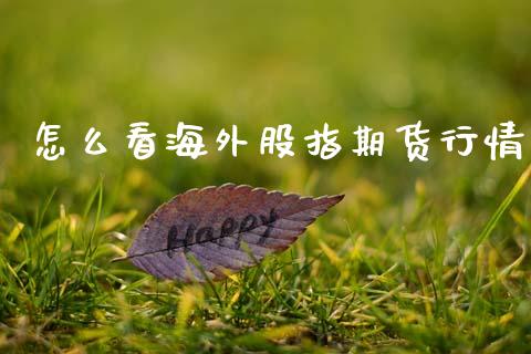 怎么看海外股指期货行情_https://www.qdlswl.com_股指_第1张