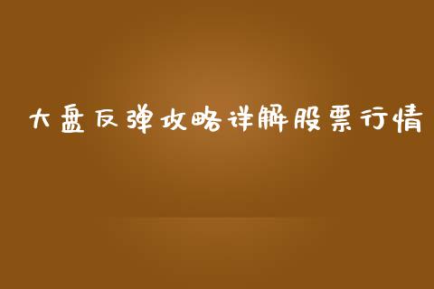 大盘反弹攻略详解股票行情_https://www.qdlswl.com_股票_第1张