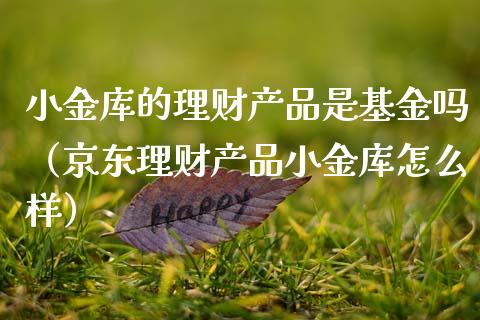 小金库的理财产品是基金吗（京东理财产品小金库怎么样）_https://www.qdlswl.com_理财_第1张