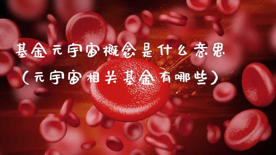 基金元宇宙概念是什么意思（元宇宙相关基金有哪些）_https://www.qdlswl.com_基金_第1张