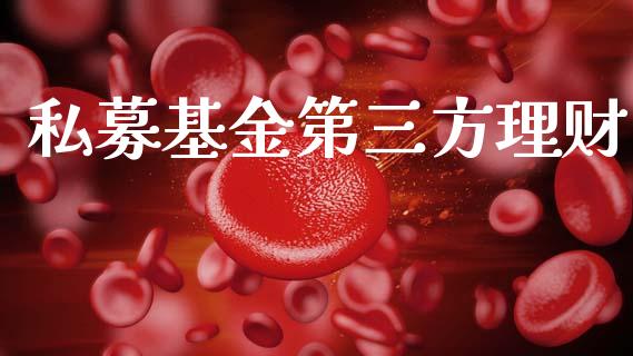 私募基金第三方理财_https://www.qdlswl.com_基金_第1张