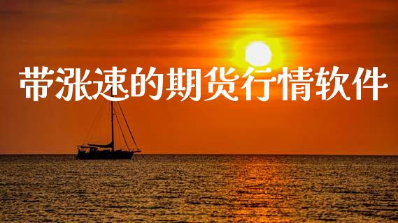 带涨速的期货行情软件_https://www.qdlswl.com_期货_第1张