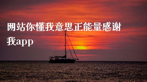 网站你懂我意思正能量感谢我app_https://www.qdlswl.com_直播_第1张