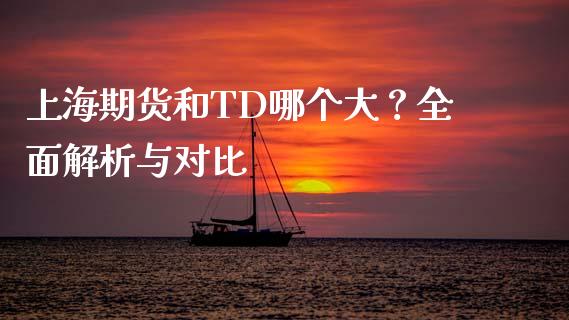 上海期货和TD哪个大？全面解析与对比_https://www.qdlswl.com_基金_第1张