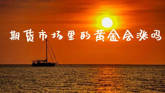 期货市场里的黄金会涨吗_https://www.qdlswl.com_股指_第1张