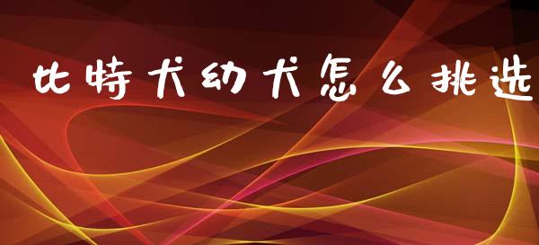 比特犬幼犬怎么挑选_https://www.qdlswl.com_基金_第1张