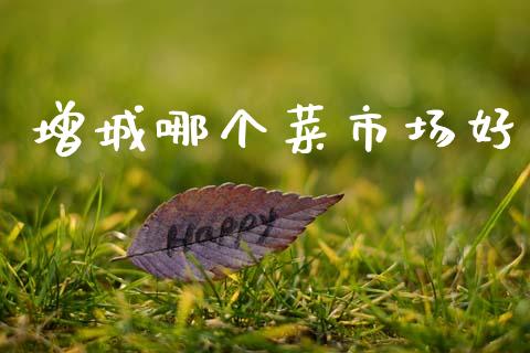 增城哪个菜市场好_https://www.qdlswl.com_期货_第1张