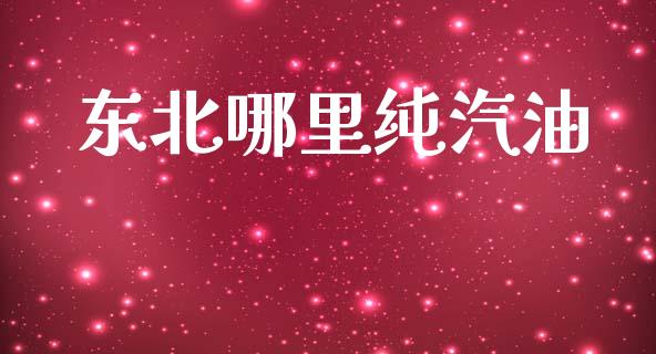 东北哪里纯汽油_https://www.qdlswl.com_内盘_第1张