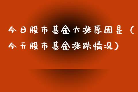 今日股市基金大涨原因是（今天股市基金涨跌情况）_https://www.qdlswl.com_基金_第1张