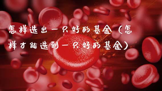 怎样选出一只好的基金（怎样才能选到一只好的基金）_https://www.qdlswl.com_基金_第1张