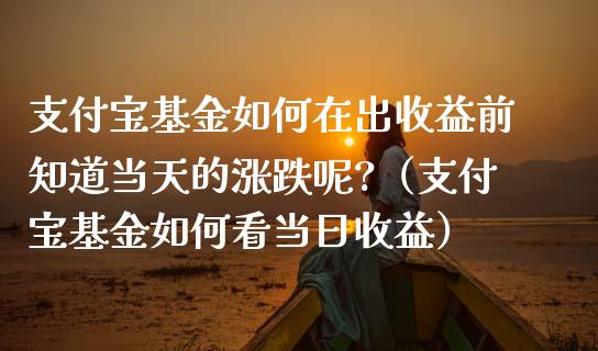 支付宝基金如何在出收益前知道当天的涨跌呢?（支付宝基金如何看当日收益）_https://www.qdlswl.com_基金_第1张