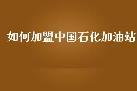 如何加盟中国石化加油站_https://www.qdlswl.com_直播_第1张