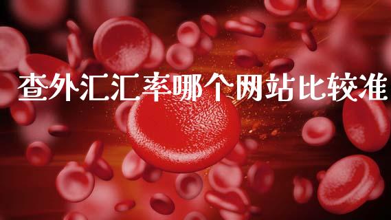 查外汇汇率哪个网站比较准_https://www.qdlswl.com_内盘_第1张