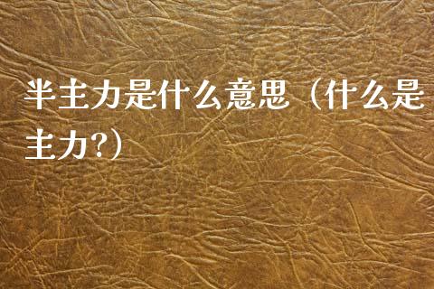 半主力是什么意思（什么是主力?）_https://www.qdlswl.com_期货_第1张