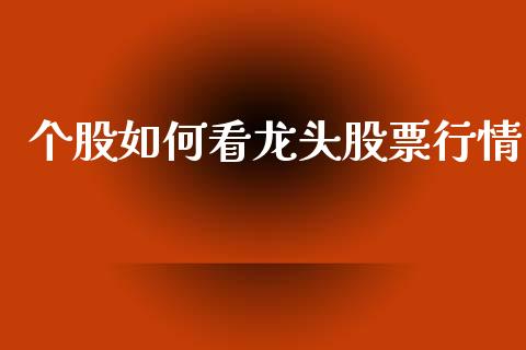 个股如何看龙头股票行情_https://www.qdlswl.com_内盘_第1张