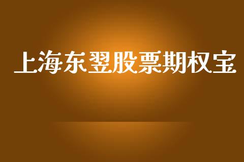 上海东翌股票期权宝_https://www.qdlswl.com_内盘_第1张