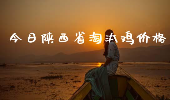 今日陕西省淘汰鸡价格_https://www.qdlswl.com_期货_第1张