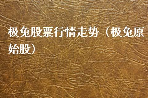 极兔股票行情走势（极兔原始股）_https://www.qdlswl.com_股票_第1张