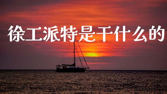 徐工派特是干什么的_https://www.qdlswl.com_基金_第1张