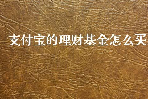 支付宝的理财基金怎么买_https://www.qdlswl.com_理财_第1张